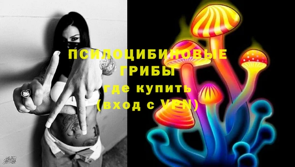 первитин Новозыбков