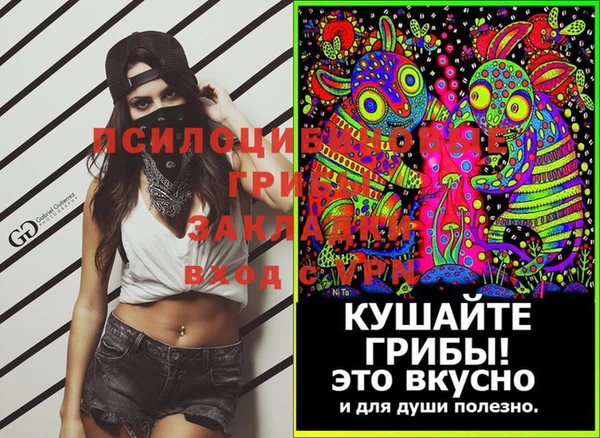 первитин Новозыбков