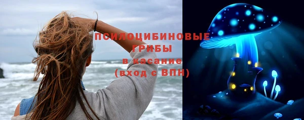 индика Нягань