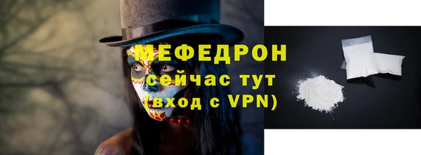 индика Нягань