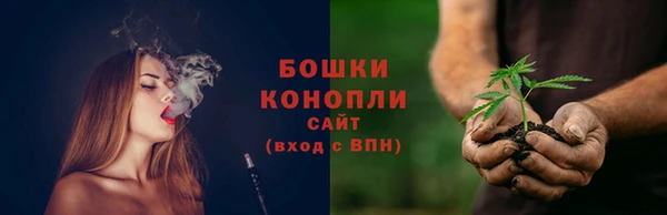 тгк Новодвинск