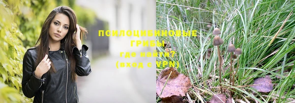ешки Новокубанск